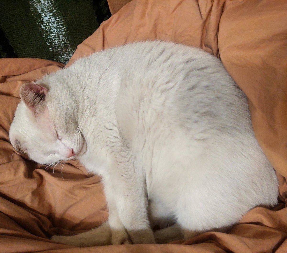 可爱多澐 tweet media