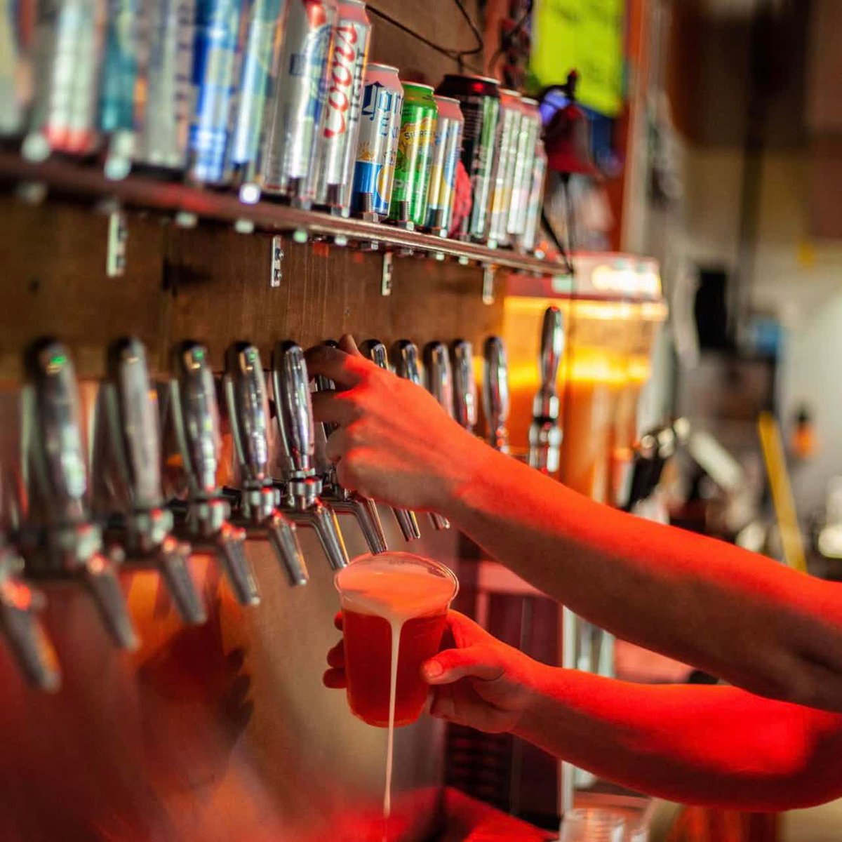 Go SoIN Tourism tweet media