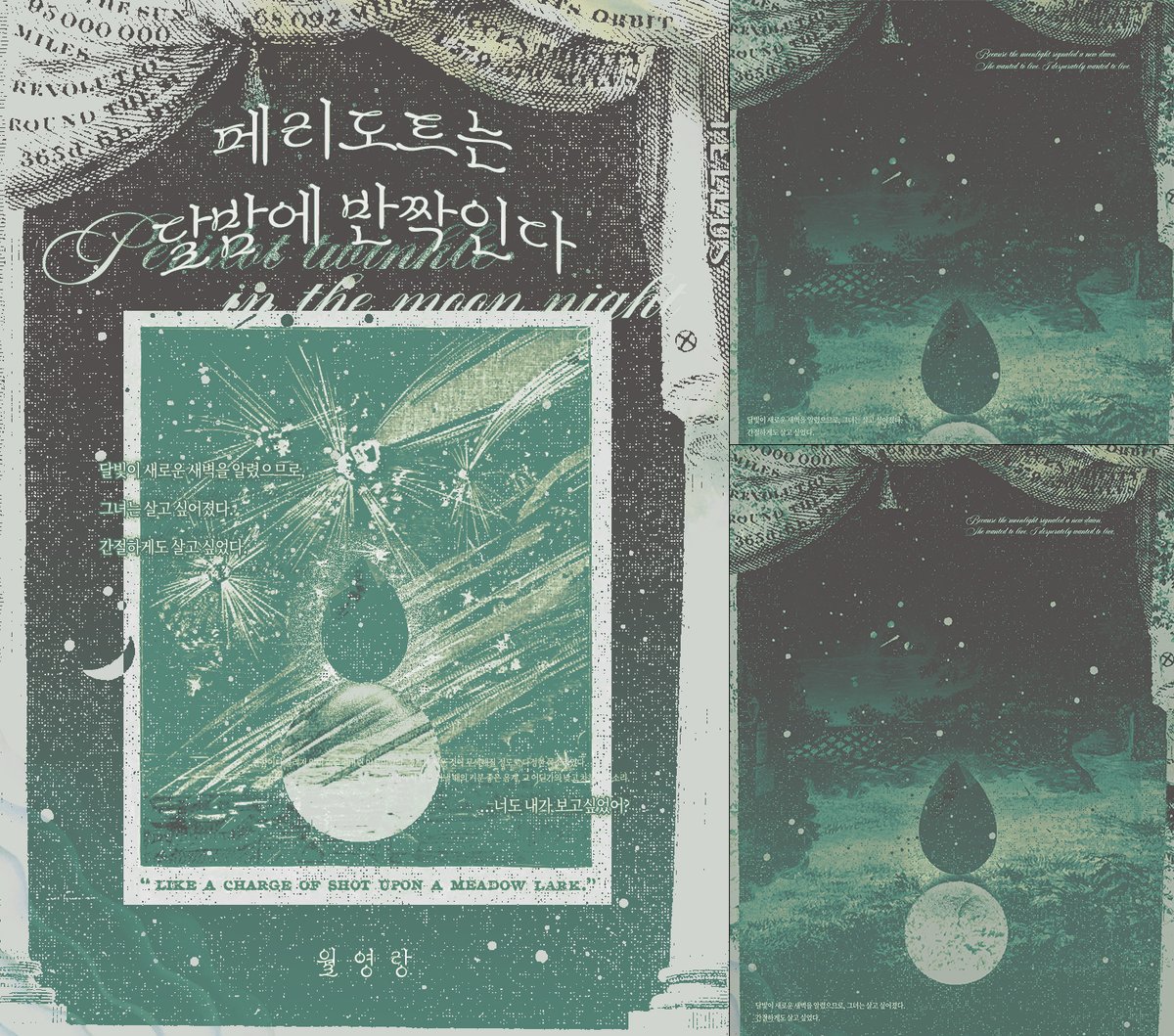 초보 tweet media