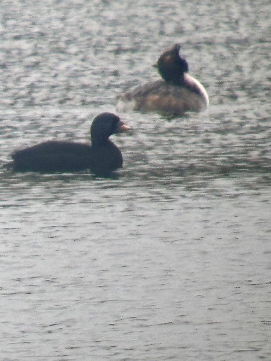 Steve Richards tweet media