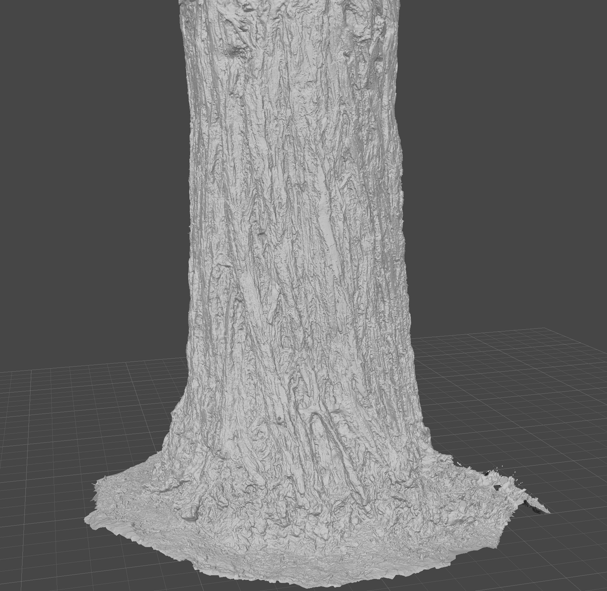 samuel_krug's tweet photo. Found and scanned this stunning old tree at a local park https://t.co/gcCnJYJnol