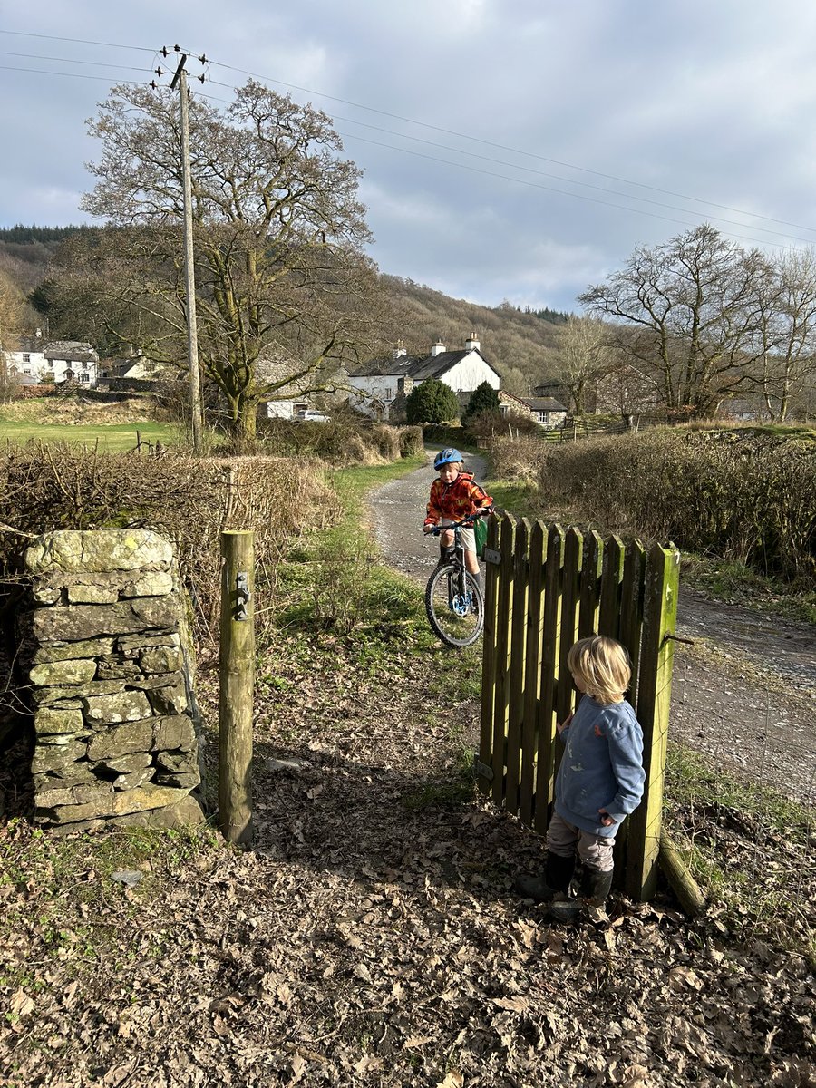 Cazz Brock tweet media