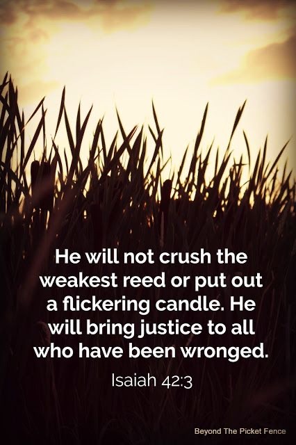 🇺🇸 🍑Catherine🍑 🇺🇸 tweet media