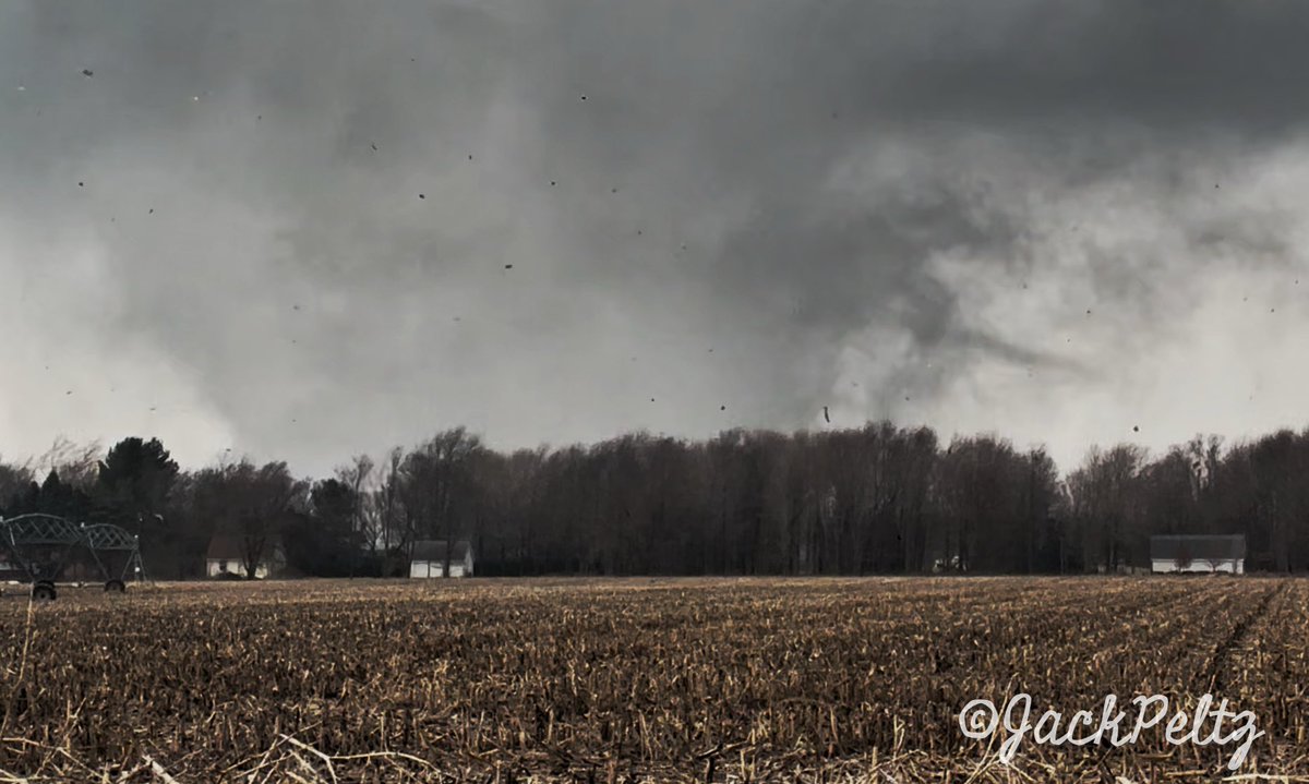 Jack Peltz tweet media