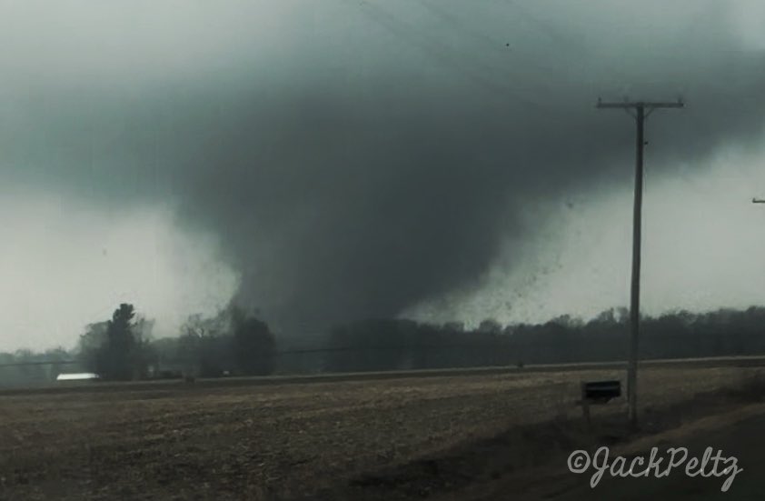 Jack Peltz tweet media