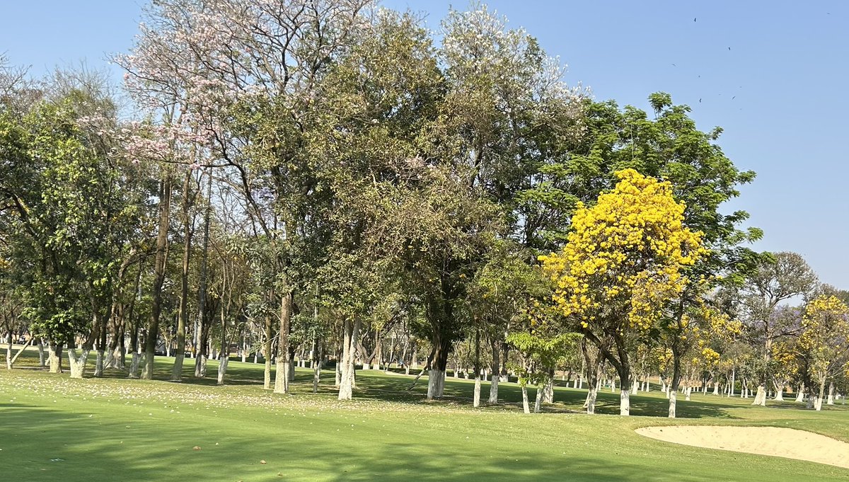 Krish Shankar tweet media