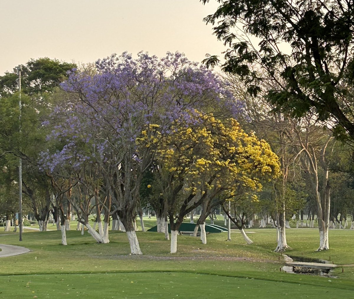 Krish Shankar tweet media