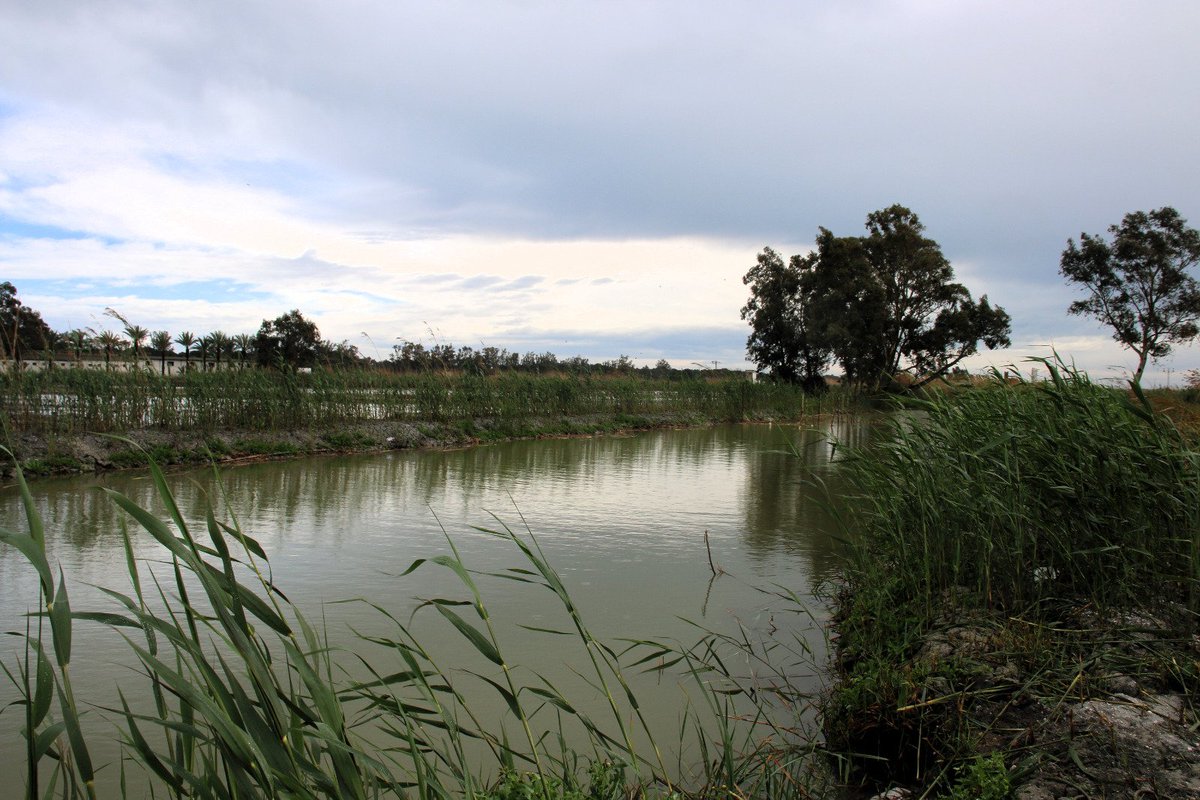 Atable. es tweet media