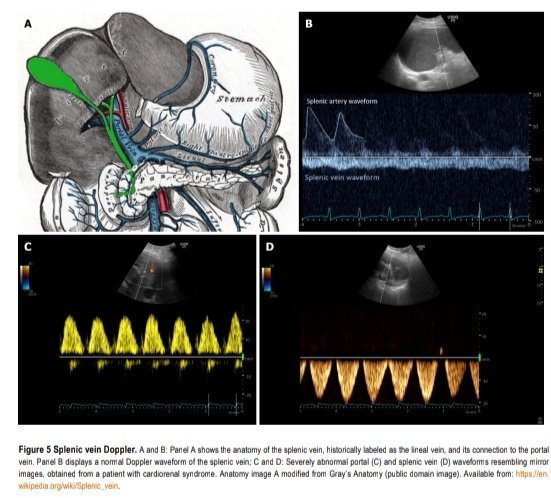 Sociedad de Medicina de Emergencias de la Laguna tweet media