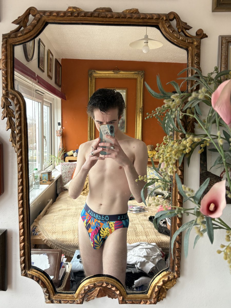 disco david tweet media