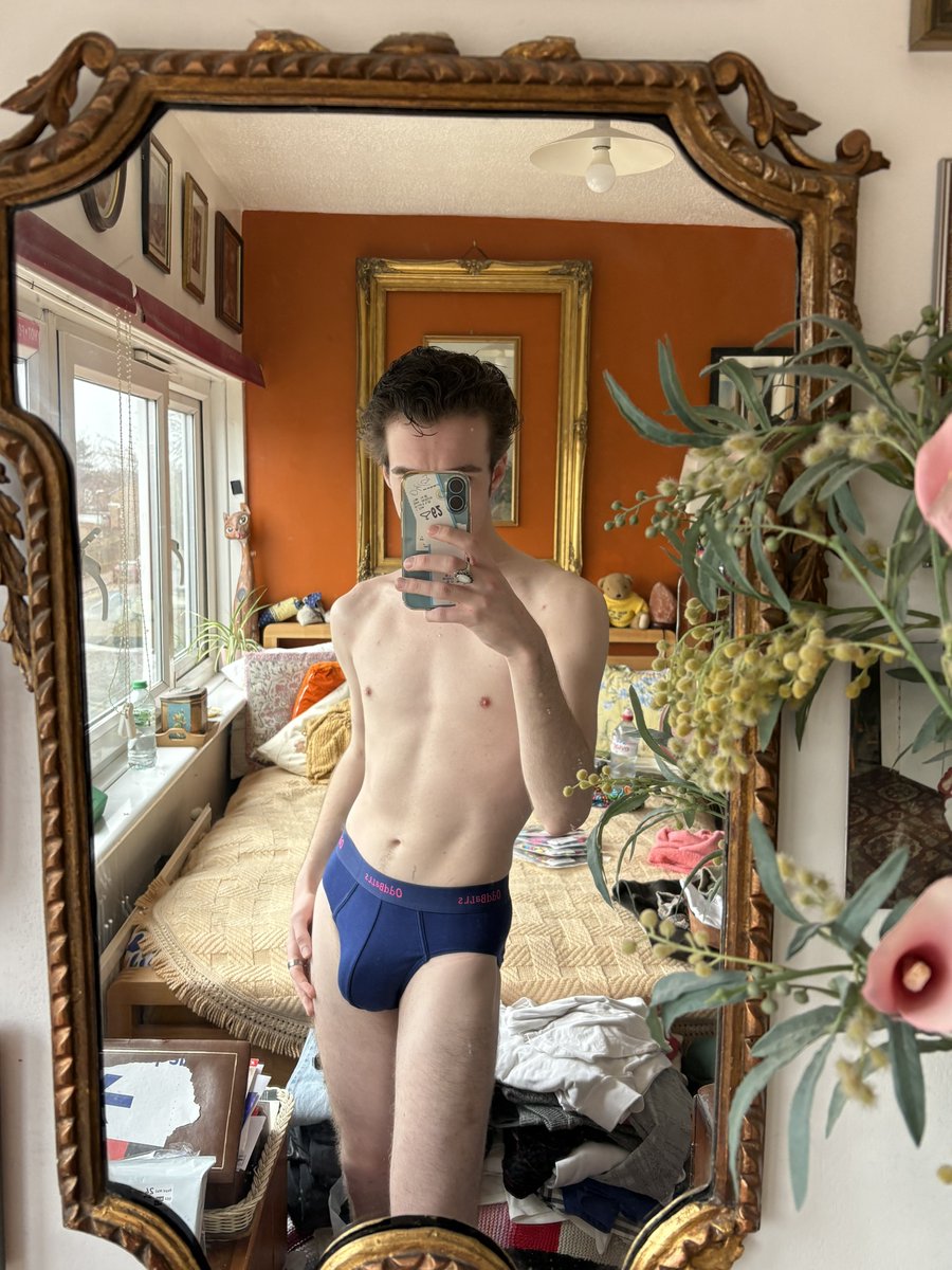 disco david tweet media