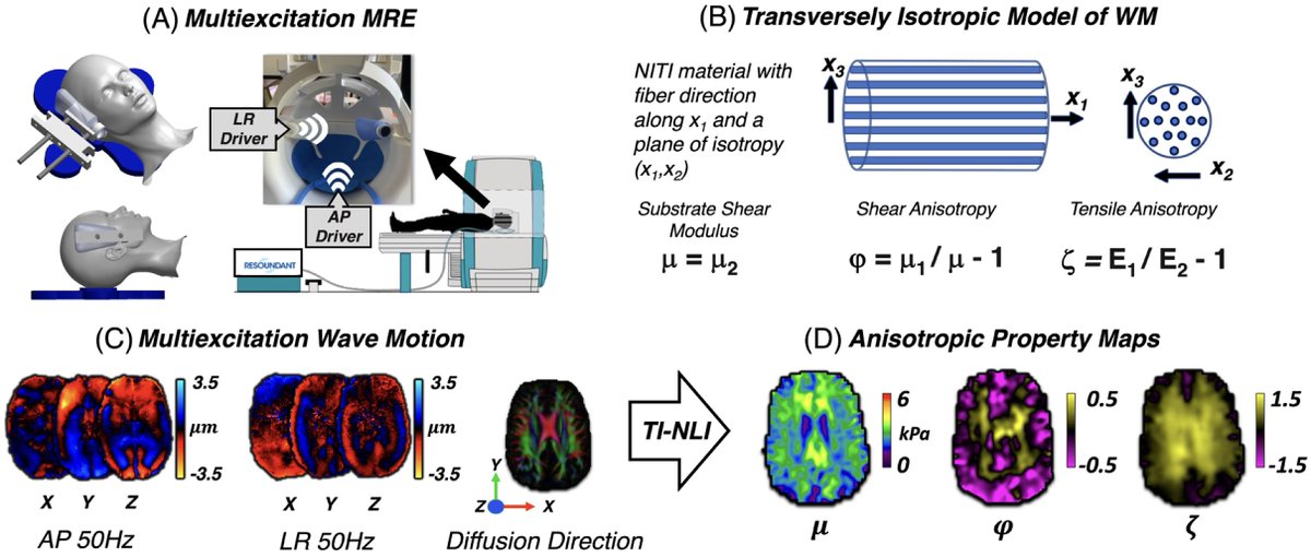 Imaging Neuroscience tweet media