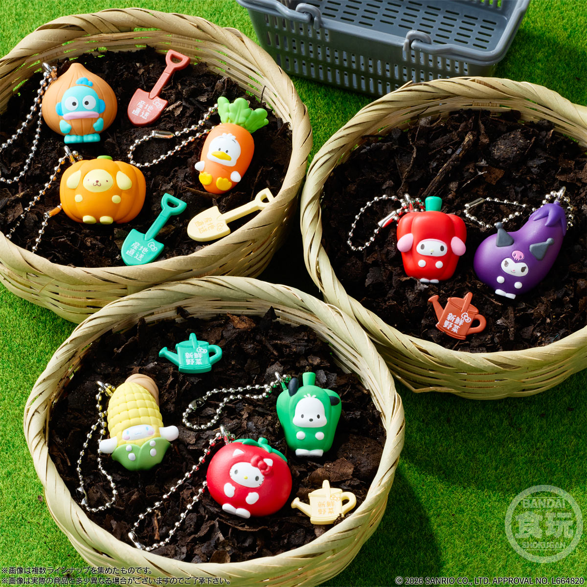 サンリオ推し活部🌈 tweet media