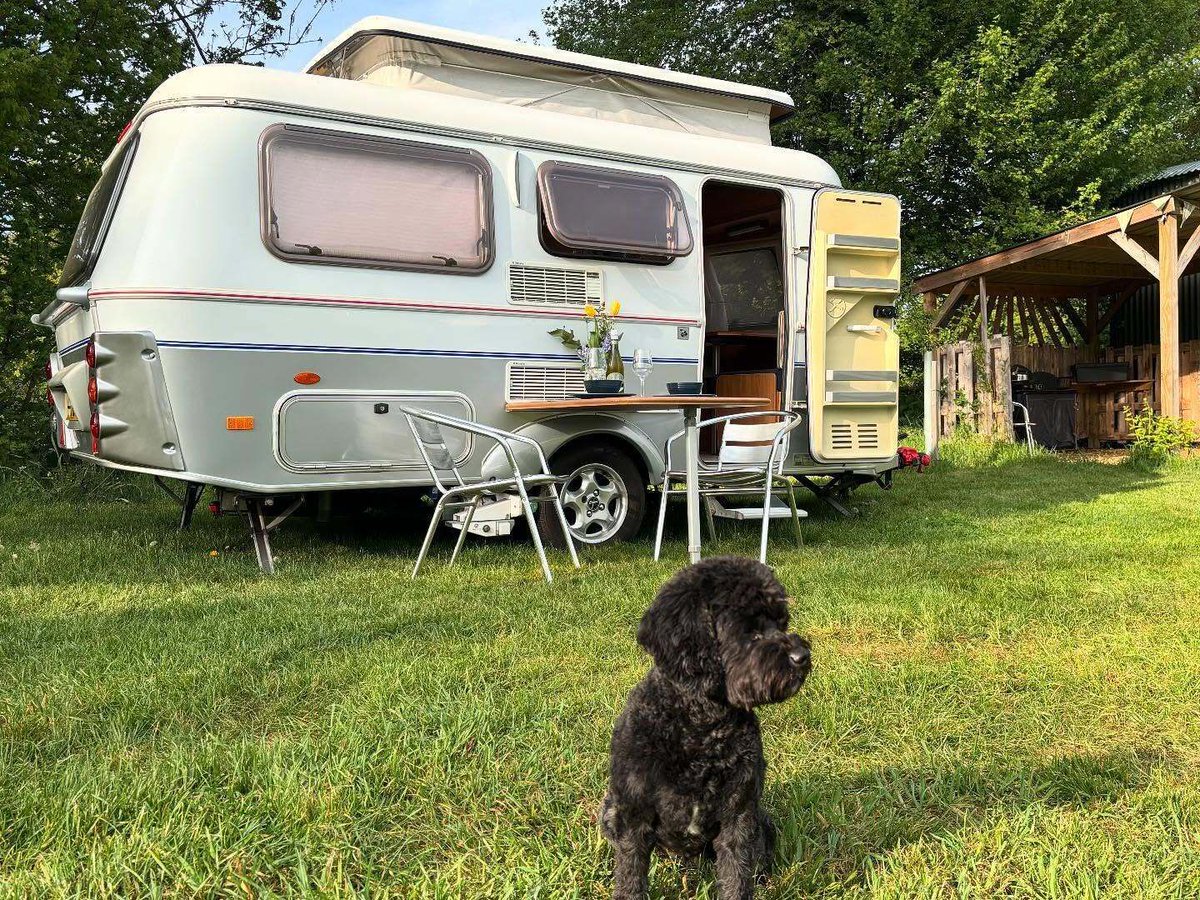 WeAcceptPets's tweet image. 🌿 Swattesfield Campsite – Camping &amp;amp; Glamping Delights 🌿

Whether choosing traditional camping or a touch of glamping comfort, visitors are sure to enjoy a memorable countryside escape. 🌾

Accepts 🐶 🐈
weacceptpets.co.uk/Suffolk/8304

#SwattesfieldCampsite #Camping #Glamping #Touring