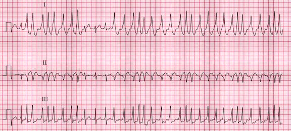 د. علي الماجد tweet media