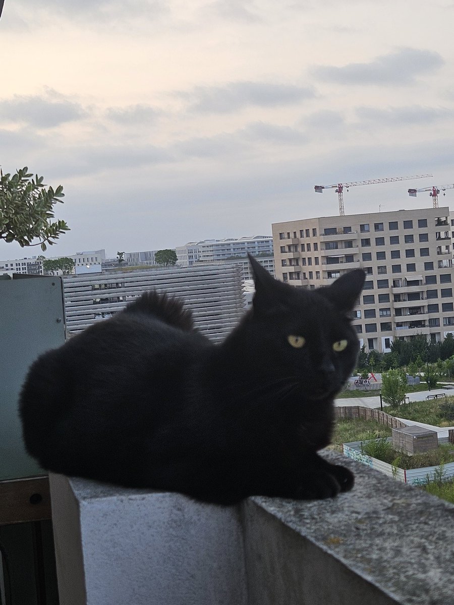 Ciel d'Aube | Grimm tweet media