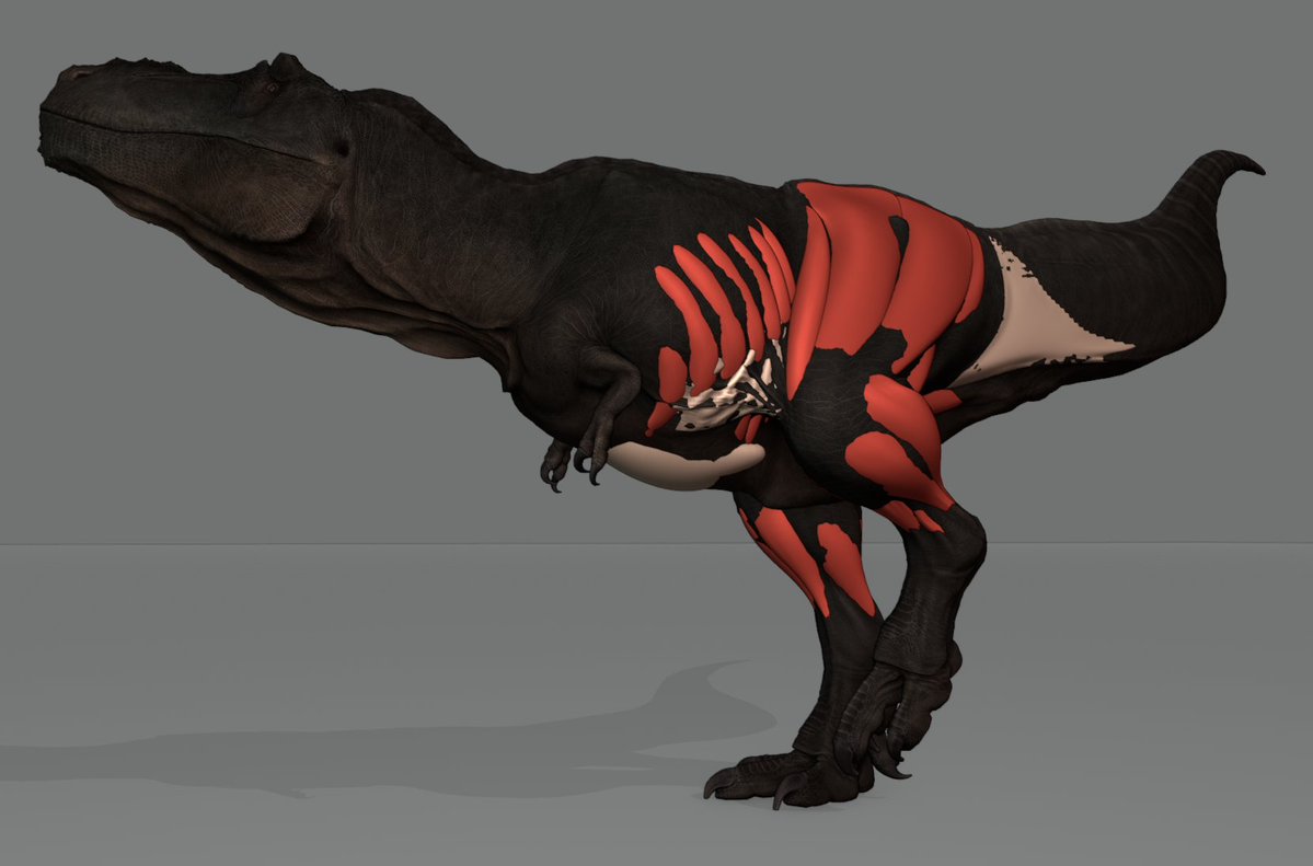 Dr Matt Dempsey tweet media