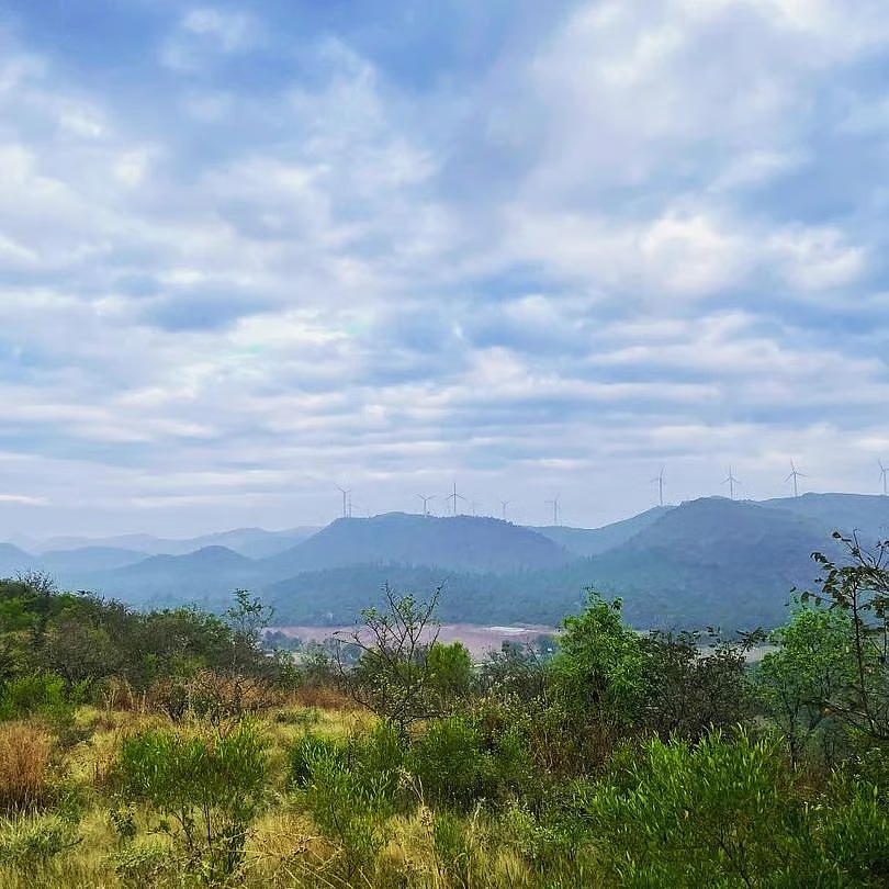 AjoyDharmavaram's tweet image. #SaveWesternGhats #SaveAravallis #saveNicobar #SaveHCU #SaveVadgaonLeopards
Kappatagudda is a UNESCO World Heritage Site.

The region is known for its lush greenery and extremely diverse flora and fauna.  en.wikipedia.org/wiki/Kappatagu…