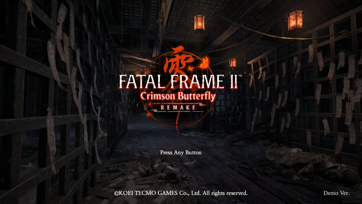 Trying out the demo~