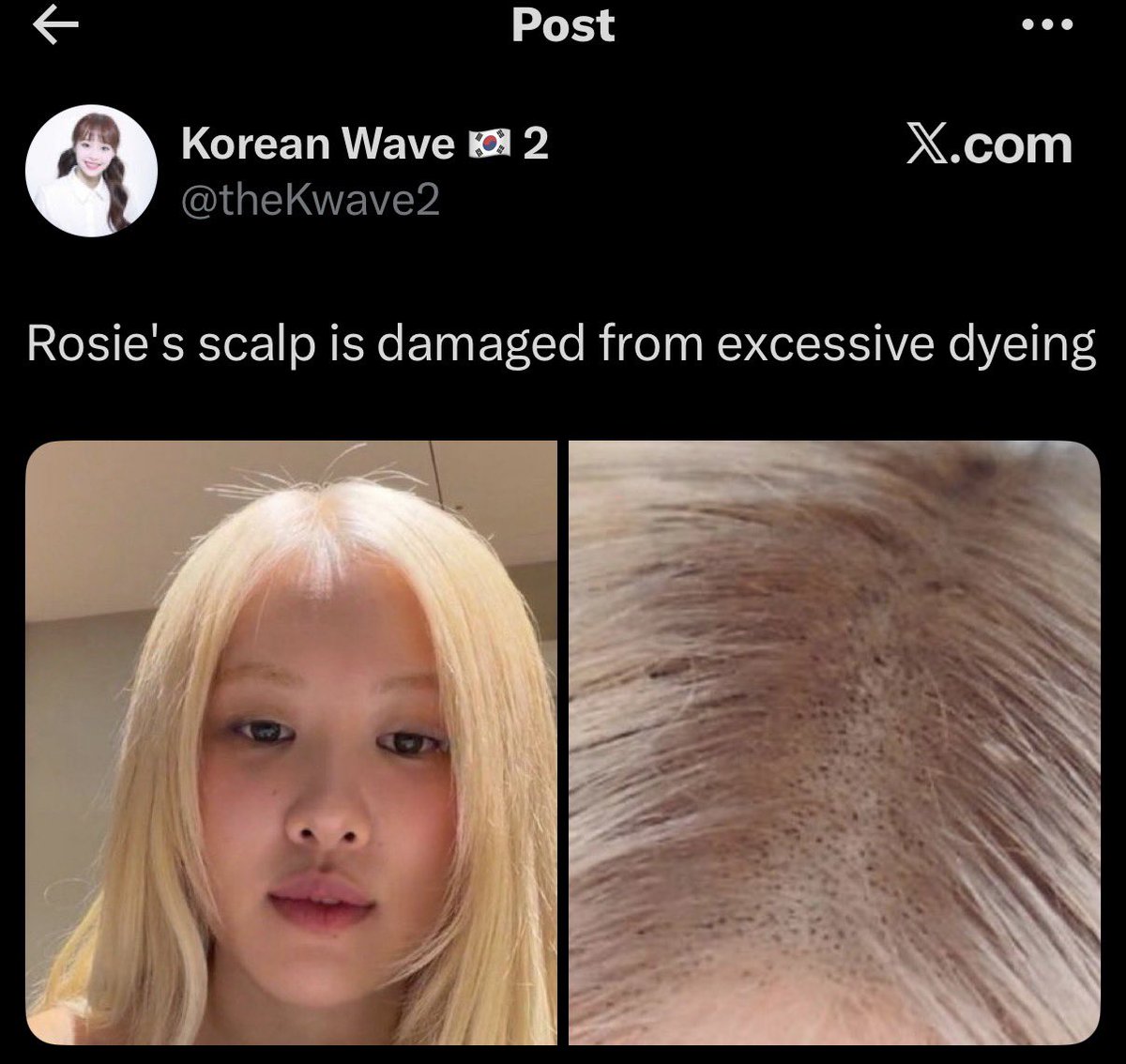 🇩🇿 tweet media