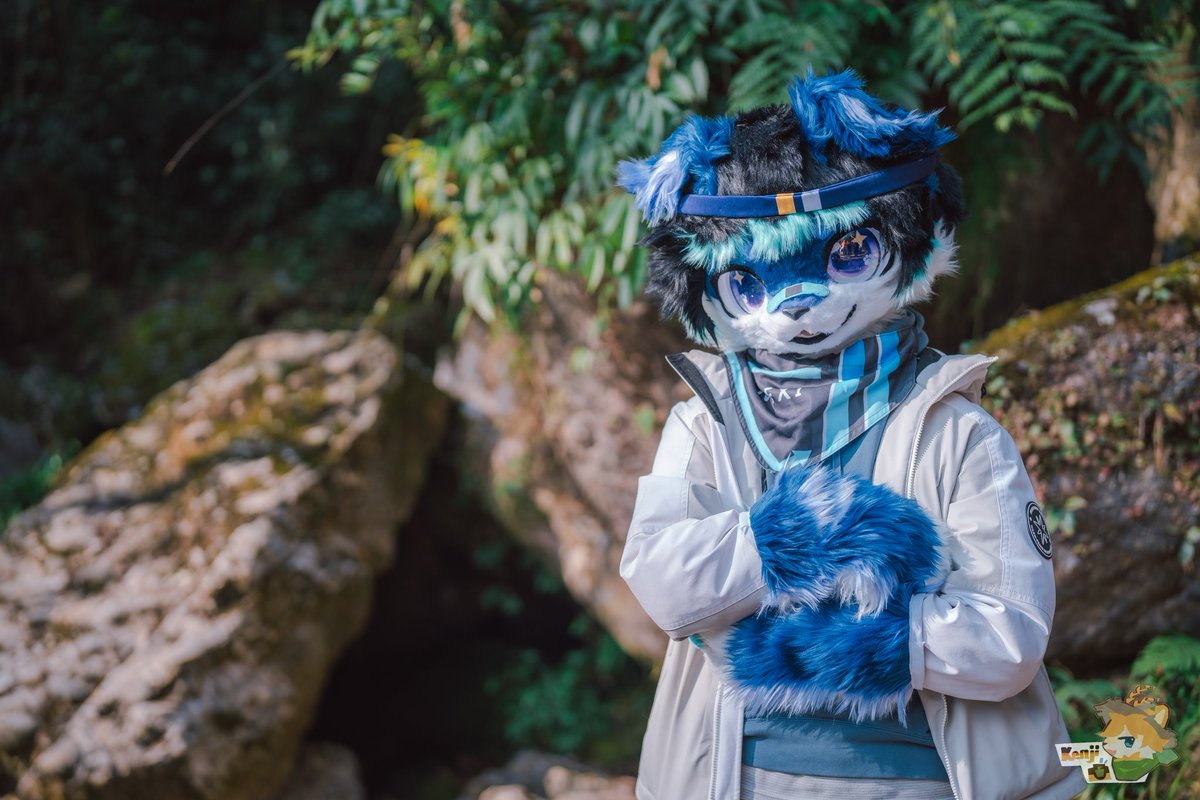 guanglingShine's tweet photo. 突然想起来好久没发蓝色折耳狗了！
📷：kenji
#FurryFriday #正太 https://t.co/41zh0eLDrA