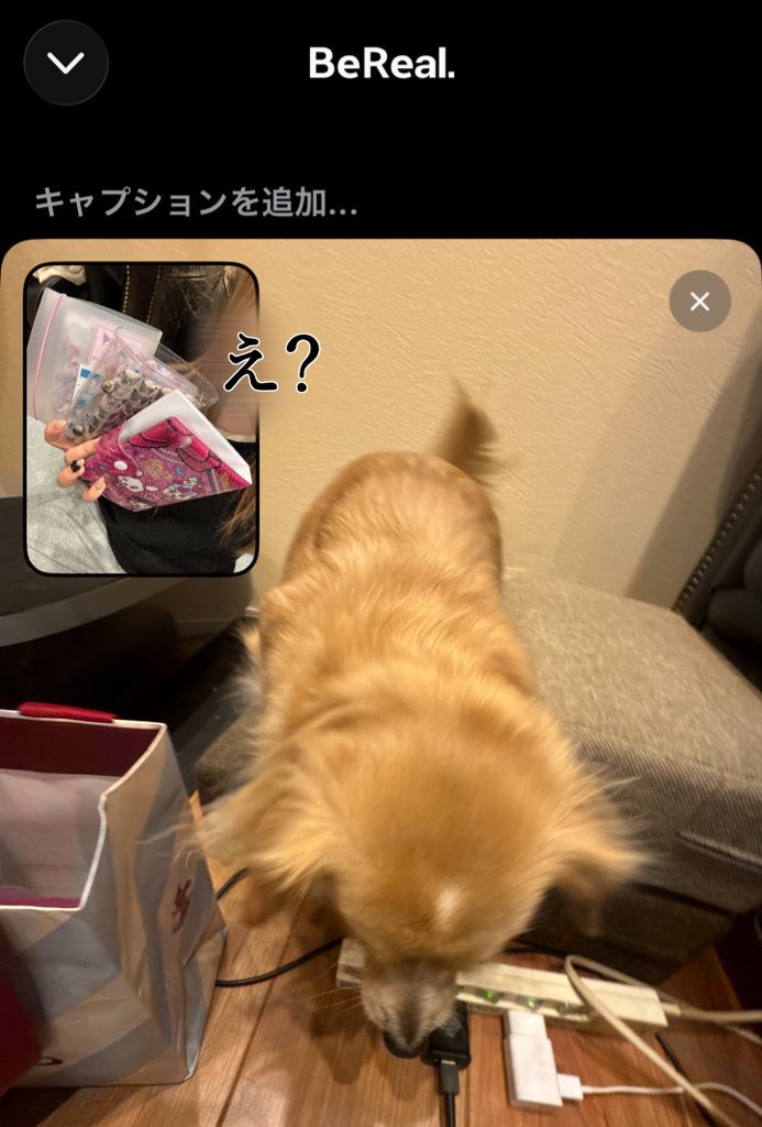 _nyanu9's tweet photo. ういくんが近況報告してくれたからももかさんも近況報告させてくださいなჱ̒^ ̳  ̫  ̳^📨✩書きたいこと多すぎてここに書ききれないからaltに書いたよ✍🏻⟡.·時間あったら見てほしいな🙂‍↕️♡ https://t.co/eYxh7mzkWL