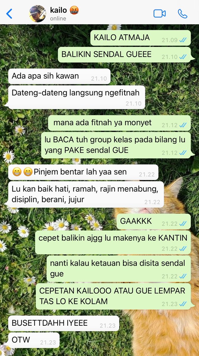 KHSH AREA tweet media