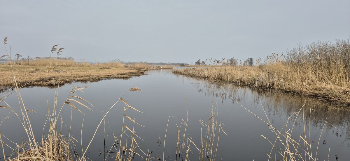 Mrs. Disbelief tweet media