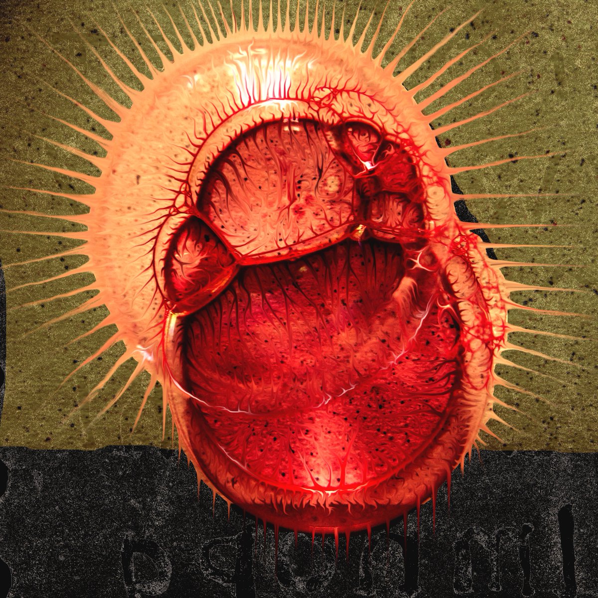 Grebo Gray tweet media