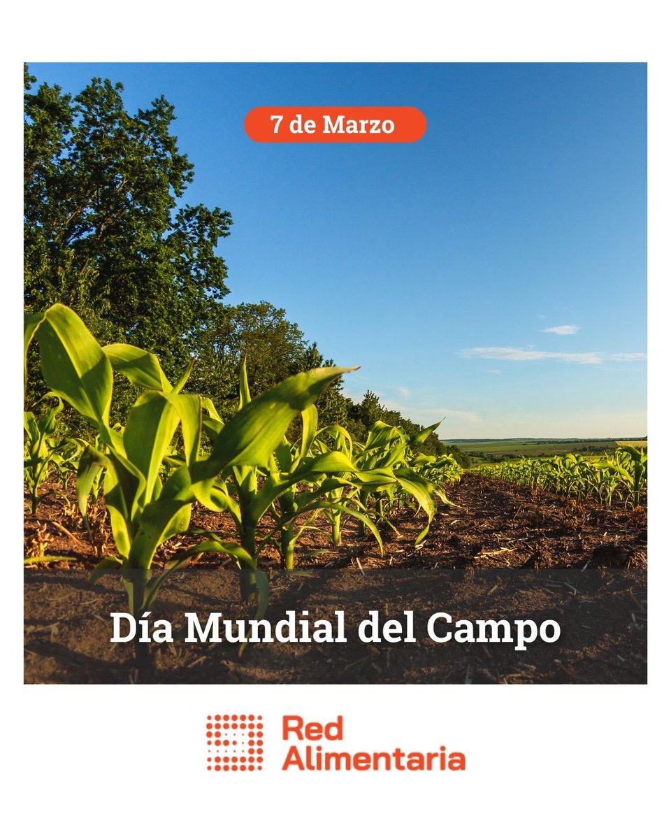 Red Alimentaria tweet media