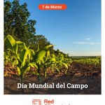Photo by Red Alimentaria (@Redalimentaria)