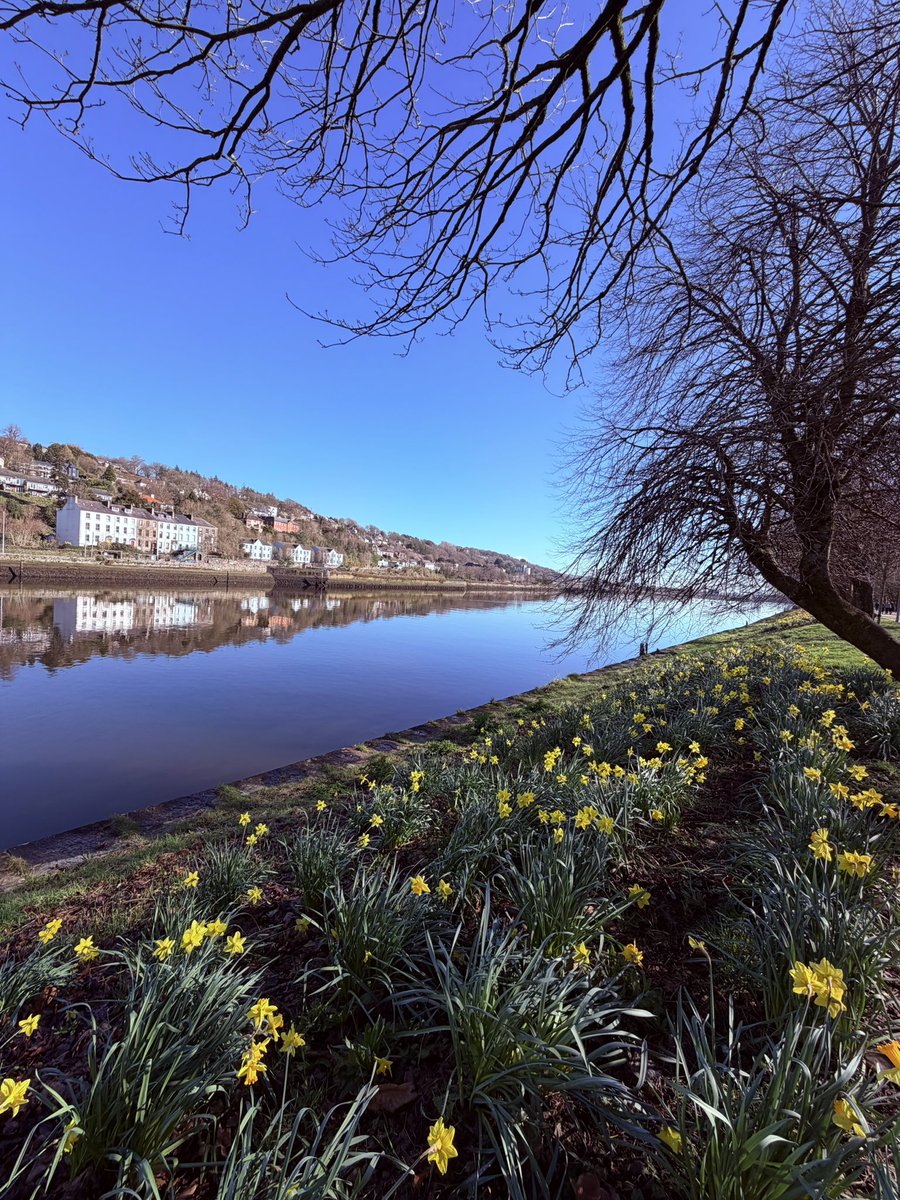 Fionnuala O’Herlihy tweet media