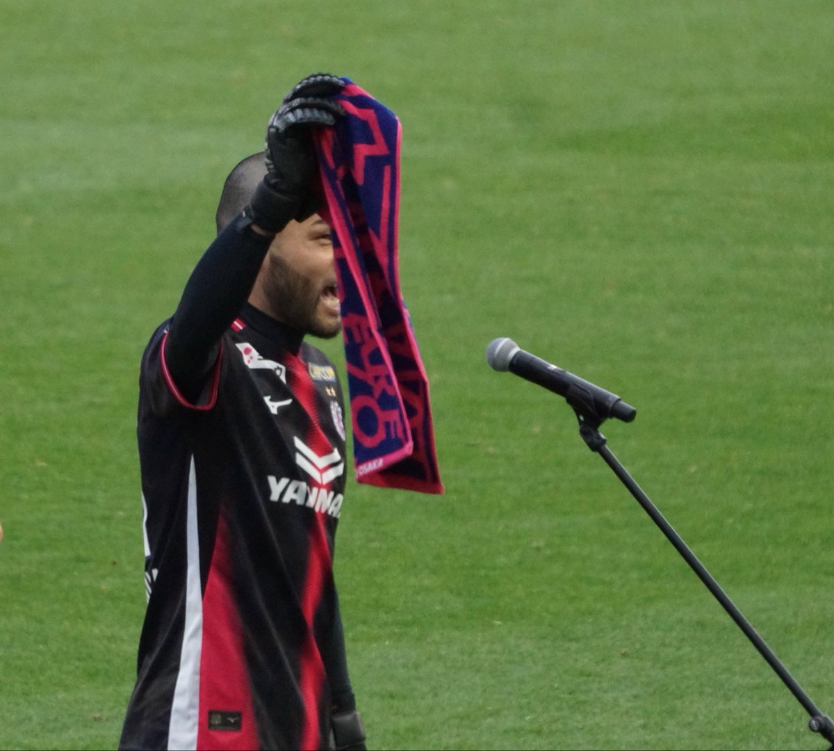 ハムリン tweet media