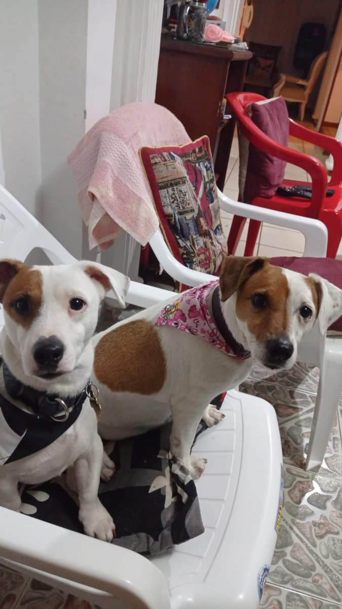 Samuel P. tweet media