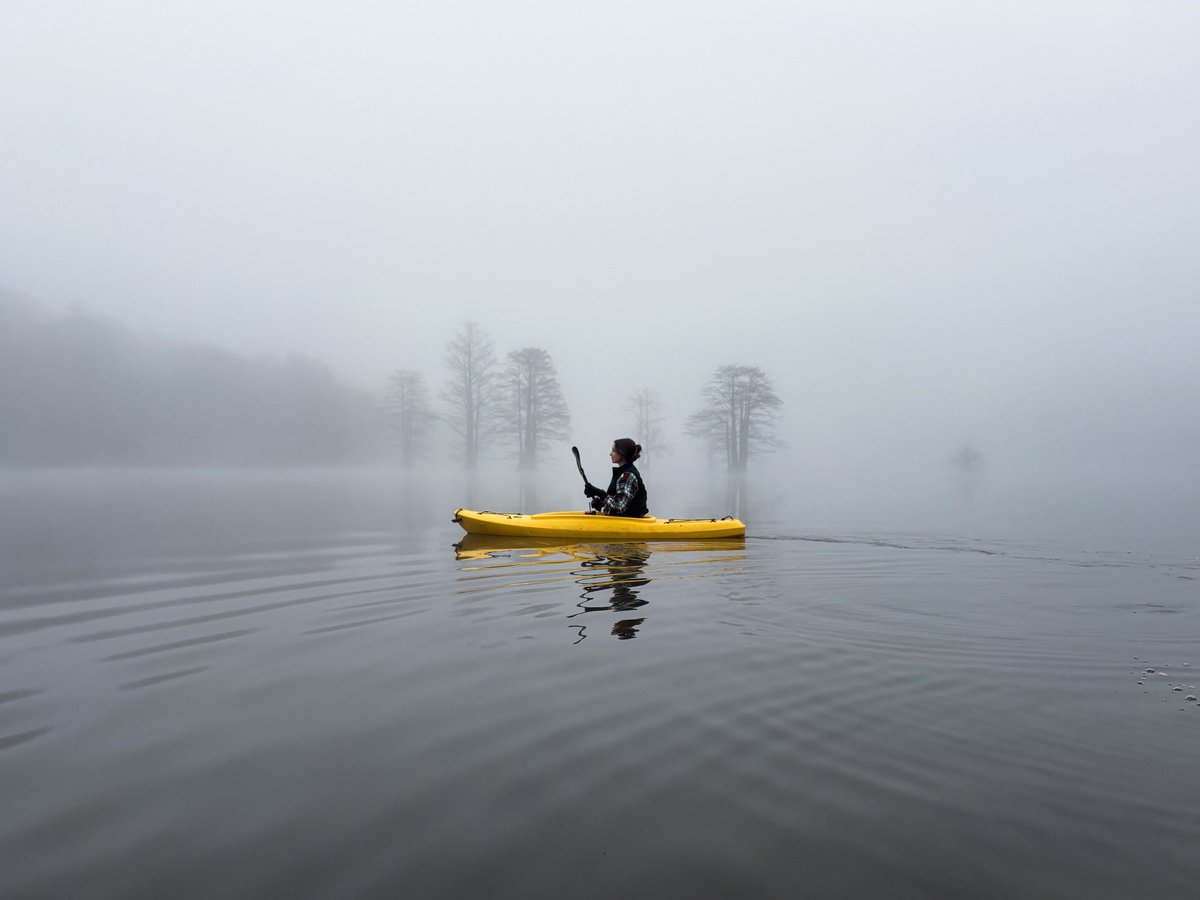 🪲Diana🪲 tweet media