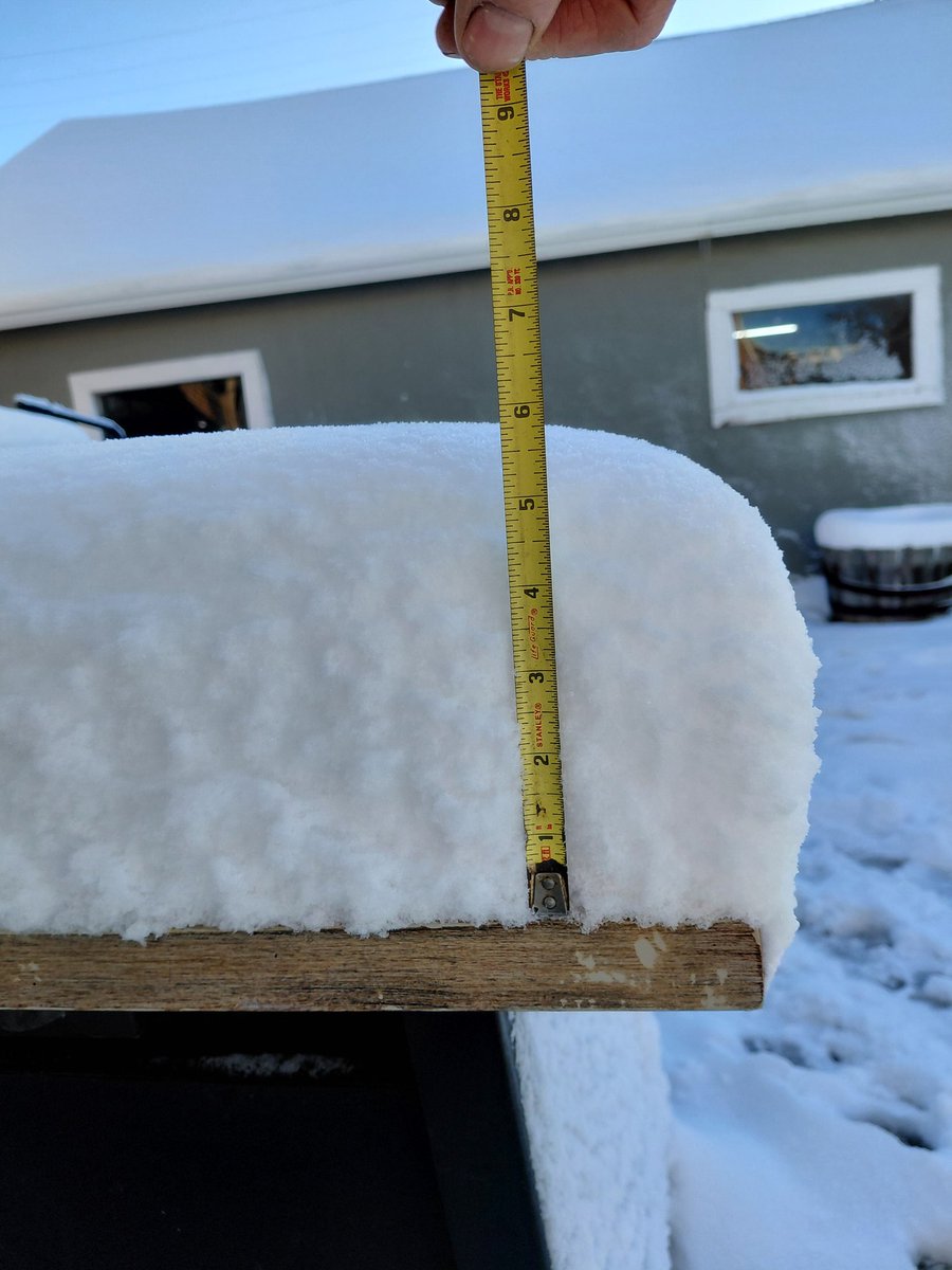 Jim Diamond tweet media