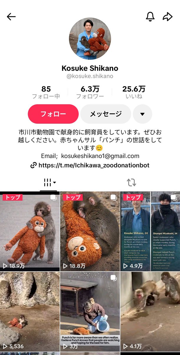 lovly0oo0oo's tweet photo. @ichikawa_zoo これは飼育員さん本人のアカウントじゃないですよね？偽アカ見つけました https://t.co/FtkdKqD2sY