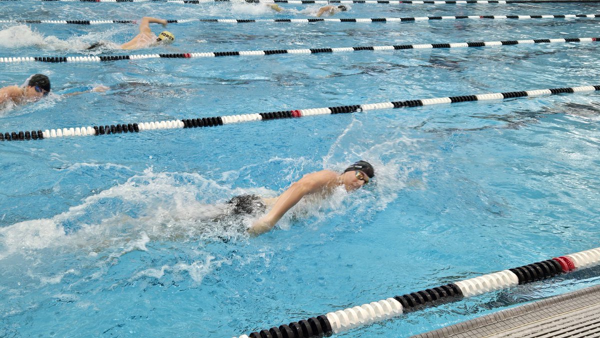 Cumberland Athletics tweet media