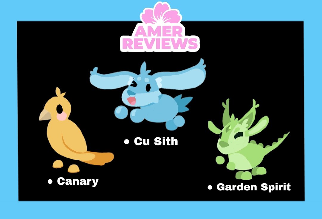 𝘈𝘥𝘰𝘱𝘵 𝘔𝘦 𝘙𝘦𝘷𝘪𝘦𝘸𝘴 ౨ৎ tweet media