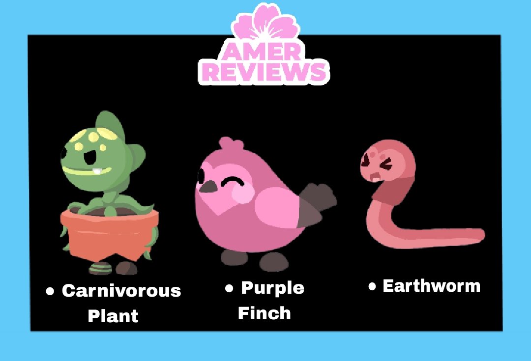 𝘈𝘥𝘰𝘱𝘵 𝘔𝘦 𝘙𝘦𝘷𝘪𝘦𝘸𝘴 ౨ৎ tweet media