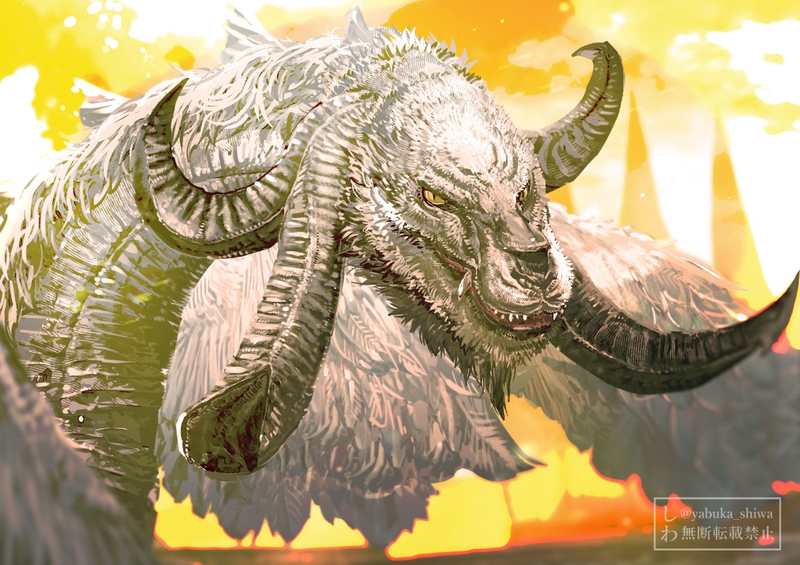 しわ(shiwa) tweet media