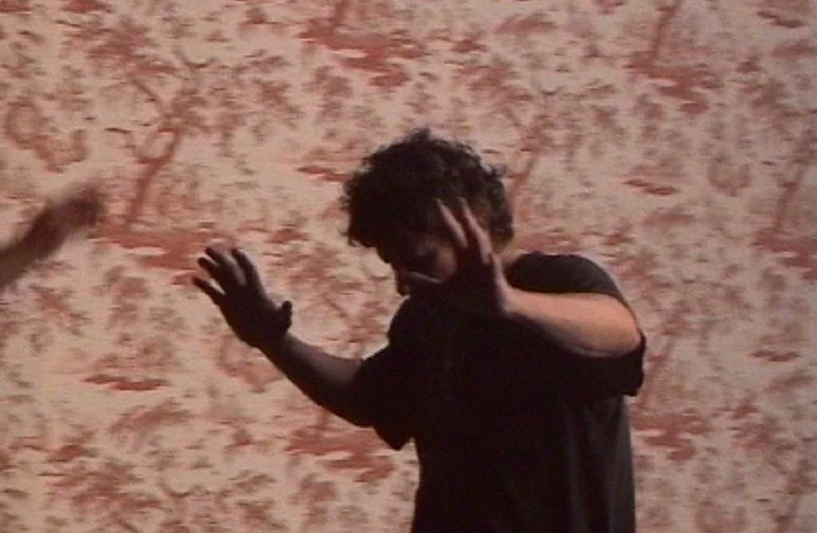 Alina Stefanescu tweet media