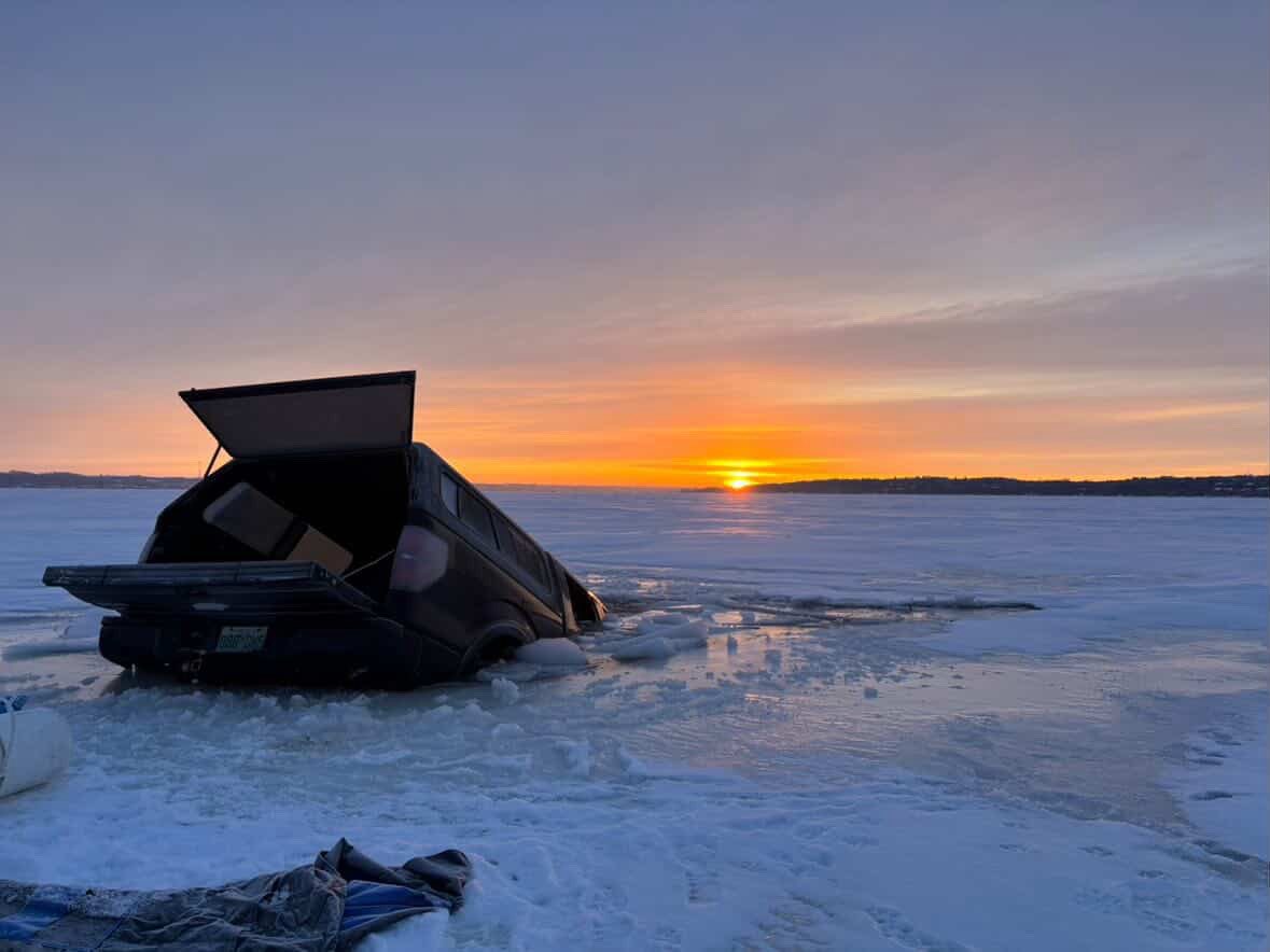 Just Bins tweet media