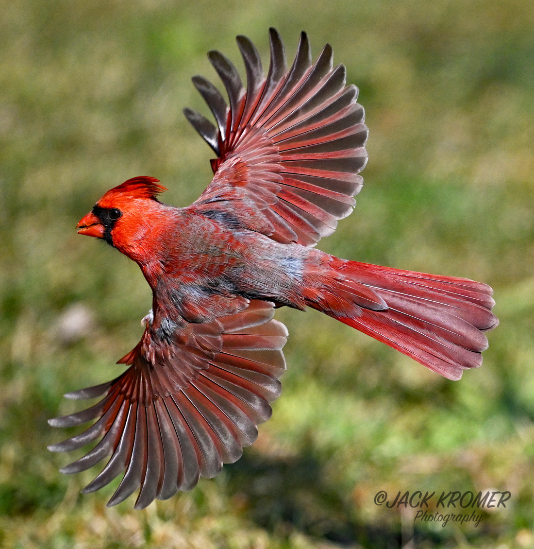 Jack Kromer tweet media