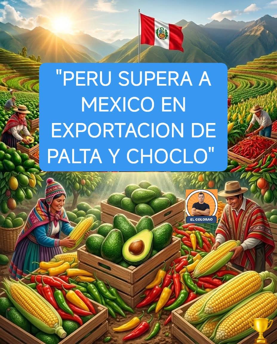 PERU deja atrás a MEXICO en exportación de PALTA y CHOCLO y se posiciona como número en el mundo 🇵🇪🌎🏆
