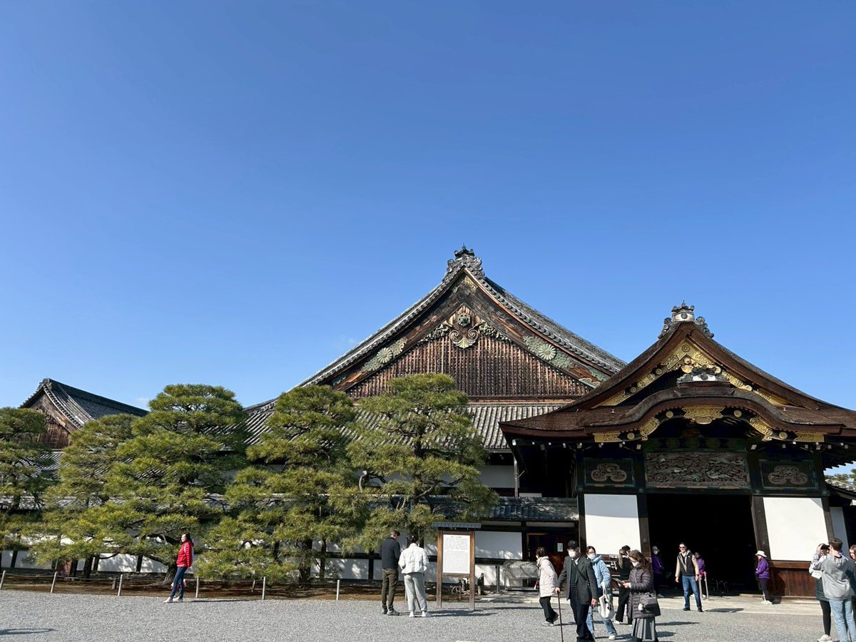 morisyun1120's tweet photo. こないだ京都日帰りで旅行いってきた！
小学校の修学旅行ぶりの清水寺と初めての二条城！
うぐいす張りの床めっちゃ新鮮でした😳
二条城の休憩所みたいなとこで食べた湯葉うどん美味かった🤤 https://t.co/tG2WIDSy8s