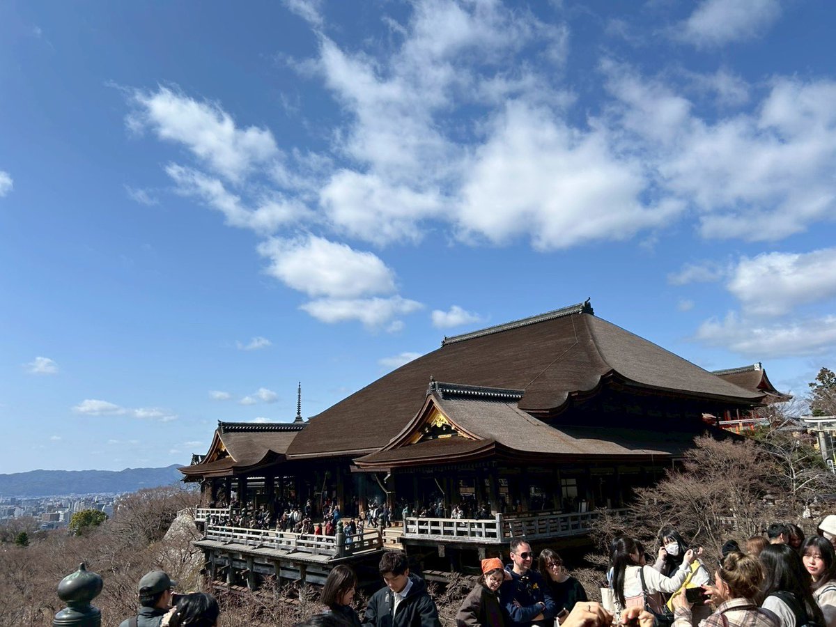 morisyun1120's tweet photo. こないだ京都日帰りで旅行いってきた！
小学校の修学旅行ぶりの清水寺と初めての二条城！
うぐいす張りの床めっちゃ新鮮でした😳
二条城の休憩所みたいなとこで食べた湯葉うどん美味かった🤤 https://t.co/tG2WIDSy8s
