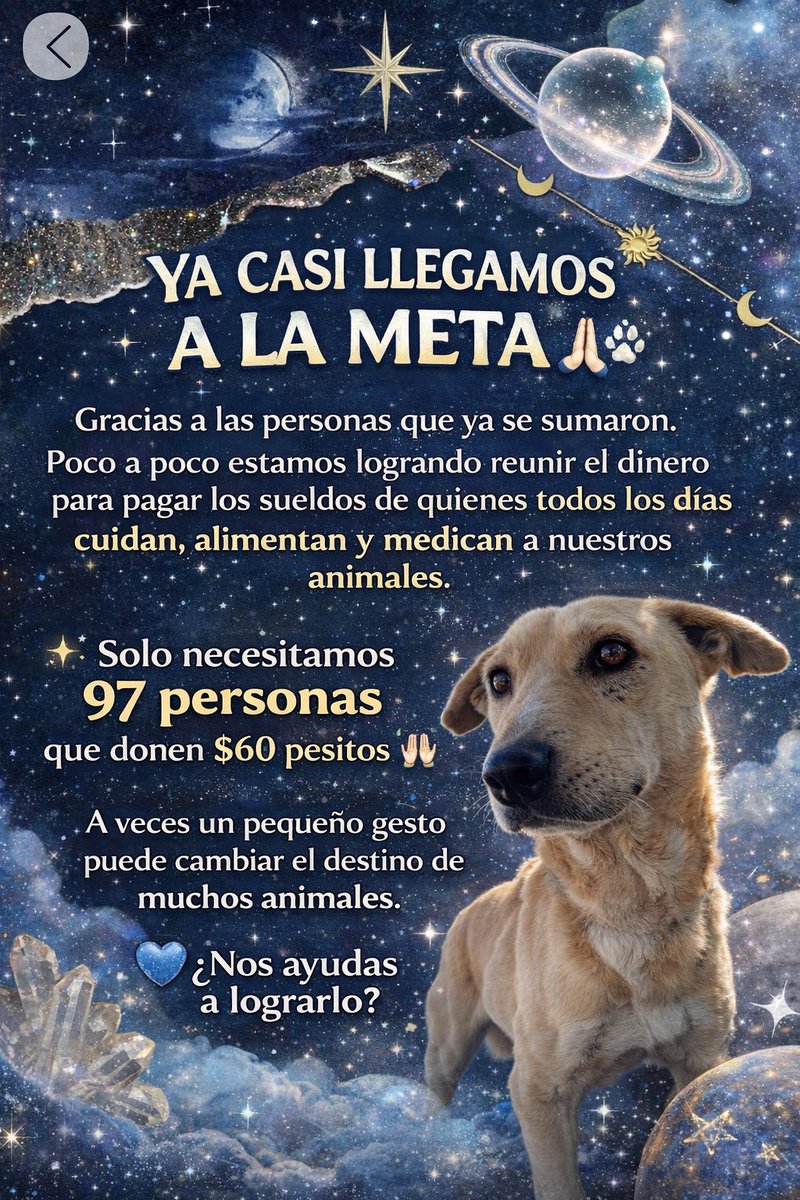 A veces cambiar la vida de muchos animales empieza con algo muy pequeño. 🐾

Estamos muy cerca de lograr pagar los sueldos de quienes todos los días cuidan, alimentan y medican a nuestros rescatados.

Solo necesitamos 97 personas que donen $60 pesos para lograrlo.

Si puedes