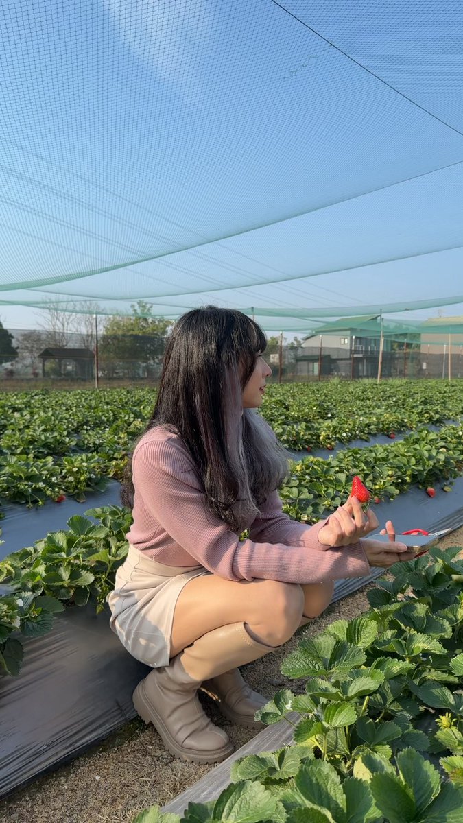 小幼💜-w- tweet media