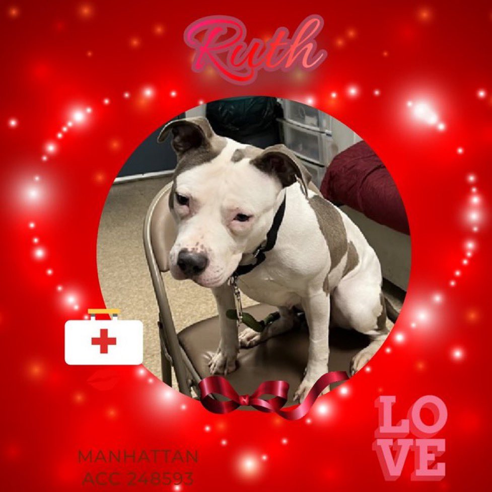 Moishe's Mom tweet media